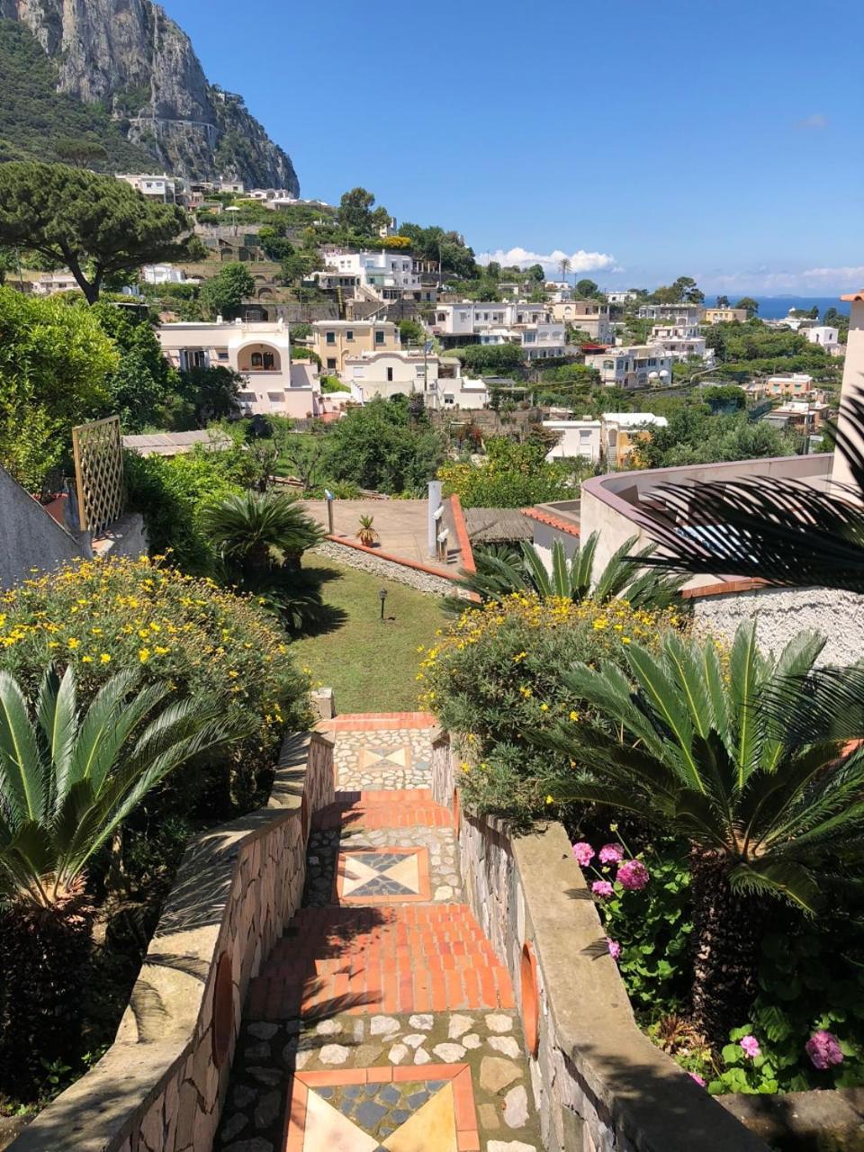 Villa Amalu Capri Piscina E Giardino エクステリア 写真